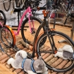 Koloběžky na For Bikes 2017