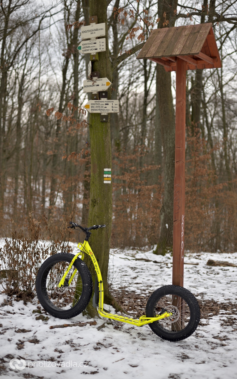 Kostka Monster