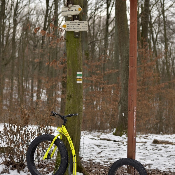 Kostka Monster