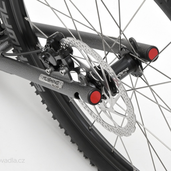 Kostka Mushing Racer (G6)