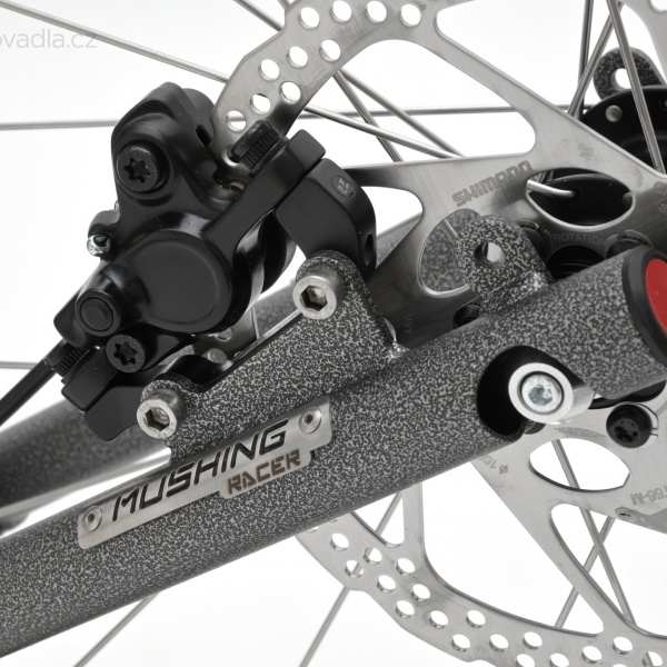 Kostka Mushing Racer (G6)