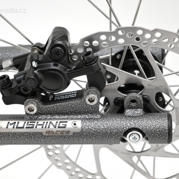 Kostka Mushing Racer (G6)