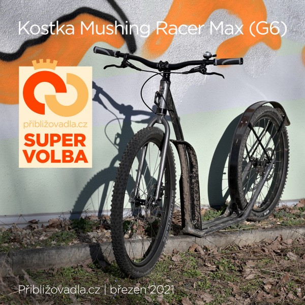 Kostka Mushing Racer (G6)