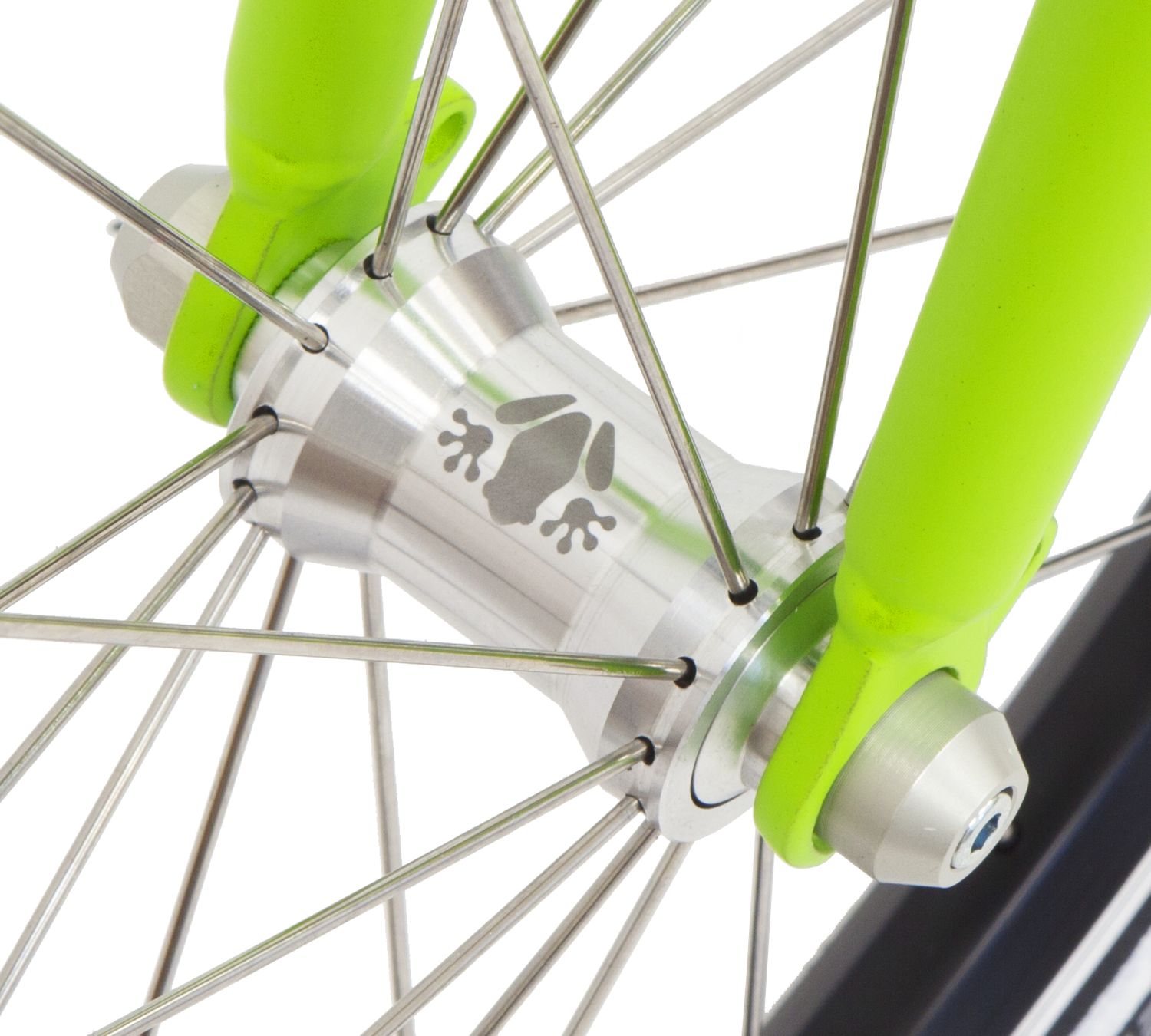 Kostka Twenty Frog