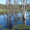 Nordkapp – putování na koloběžce k severu