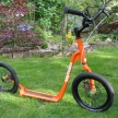 Sixteen custom