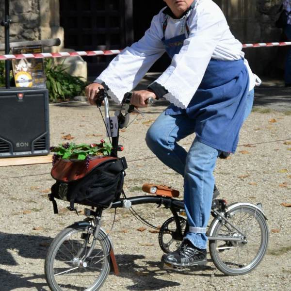 Festival Cyklospecialit a Mistrovství ČR a SK Brompton 2013