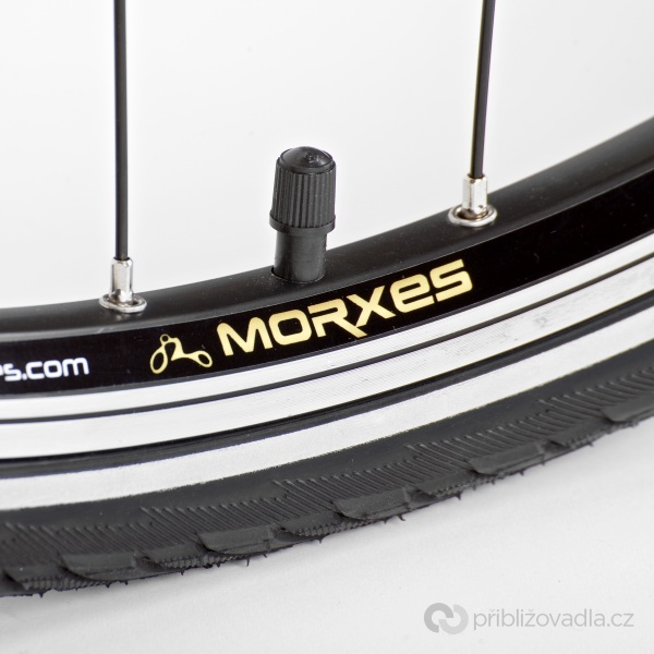 Morxes Vendeta Sport