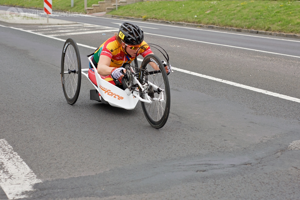 Rollo liga 2013 – Louny/Děčín 29. a 30. 6.