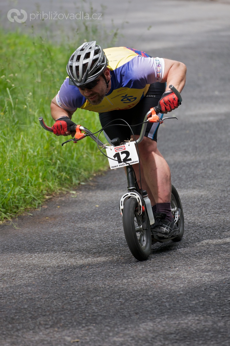 Rollo liga 2013 – Louny/Děčín 29. a 30. 6.