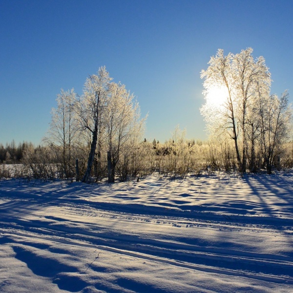 Pavel Richtr na Iditarod Trail Invitational 2014