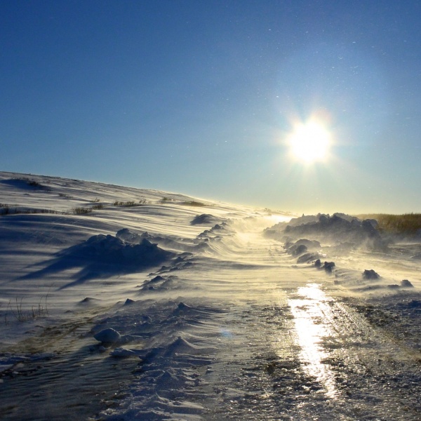 Pavel Richtr na Iditarod Trail Invitational 2014